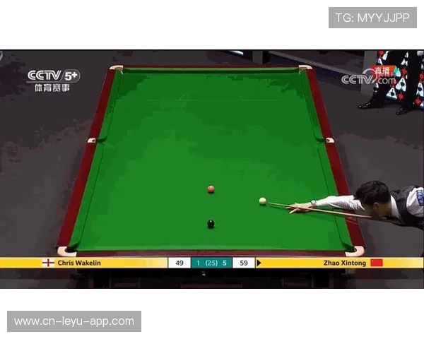 台球精准度提升的眼手协调练习全指南